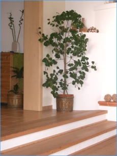 Innenausbau